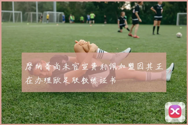 摩纳哥尚未官宣费利佩加盟因其正在办理欧足联教练证书